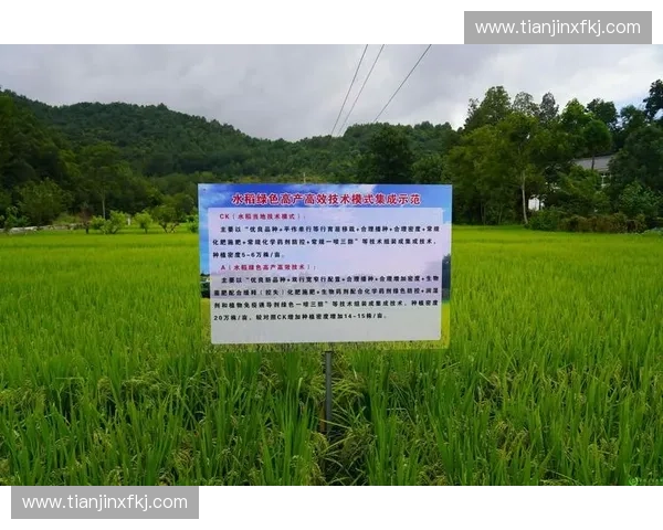 赛事管理创新与发展路径探索：提升效率与体验的多维策略分析